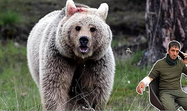 Abdest almaya giden bir kişi ayı saldırısına uğradı