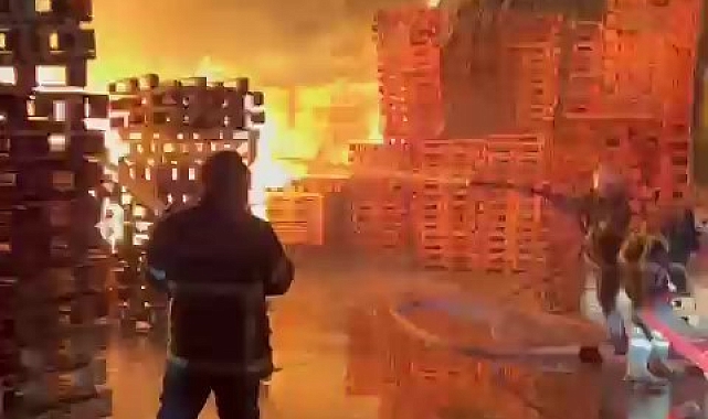 Adana&#039;da palet fabrikasında yangın çıktı