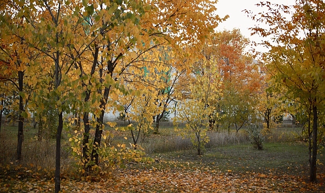 Ağrı&#039;da iki mevsim bir arada