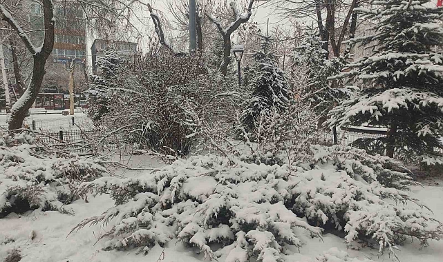 Ardahan&#039;da Karpostallık Görüntüler