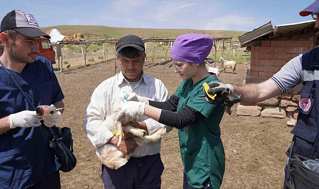 &quot;Aşısı yapılmayan hayvanlarda ciddi kayıp yaşanabiliyor&quot;