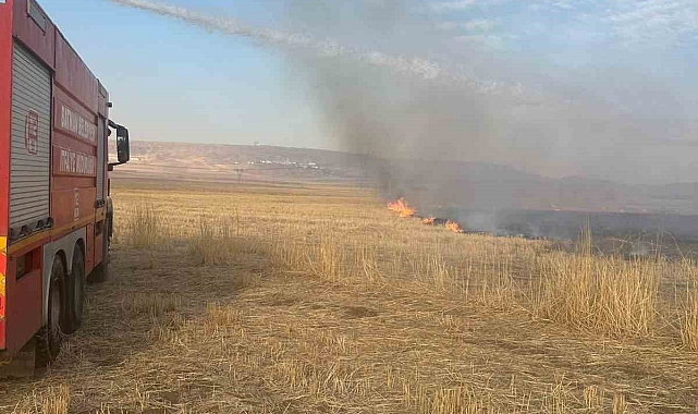 Batman&#039;da 20 dönümlük alan yanarak kül oldu