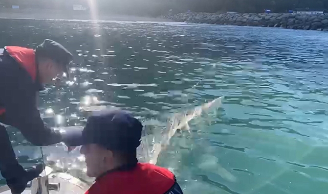 Bin 100 metre uzunluğunda kaçak ağ çıkartıldı