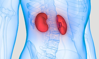 &quot;Böbrek kanseri vakalarında son yıllarda artış var&quot;