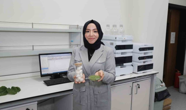 BTÜ&#039;de diyabet hastalarına özel gıda kaplaması geliştirildi