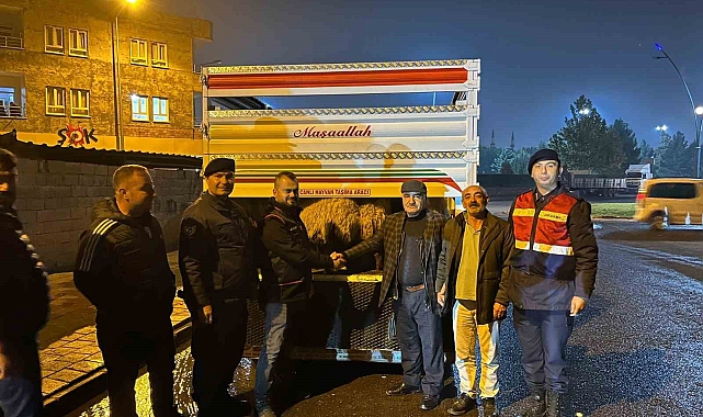 Çalınan 54 koyun sahiplerine teslim edildi