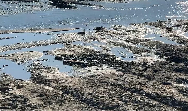 Çaya inen 3 çocuk balçığa saplandı