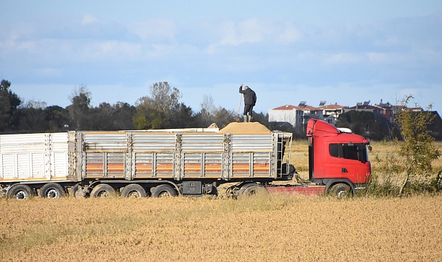 Çeltik hasadı sona erdi