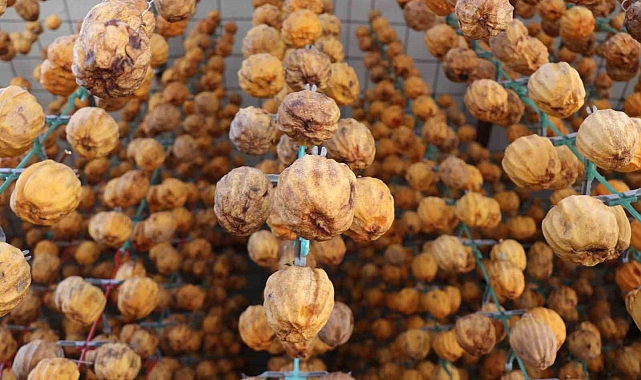 Cennet hurmasının hasadında sona yaklaşıldı