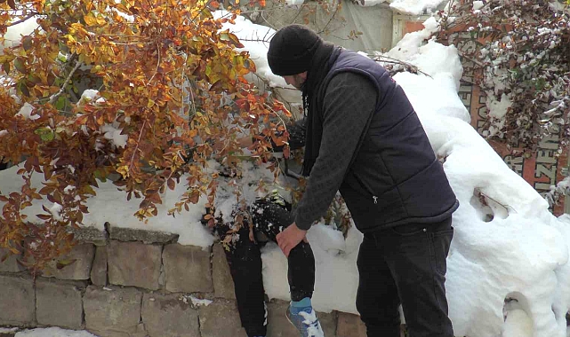 Ceset sandıkları çiçeklik çıktı