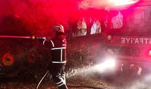Çıkan yangında 6 buzağı telef oldu, 500 saman balyası yandı