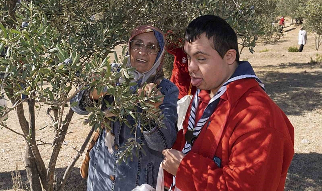 Engelli bireyler kendi kışlık zeytinlerini hazırlama fırsatı buldu