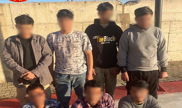 Erciş&#039;te yasa dışı yollarla yurda girdiği belirlenen 7 düzensiz göçmen yakalandı