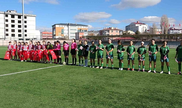 Gürcistan ile dostluk maçı