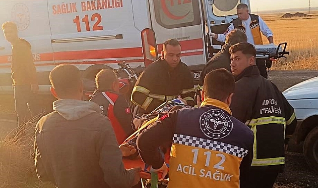 Hafif ticari araç mısır tarlasına yuvarlandı