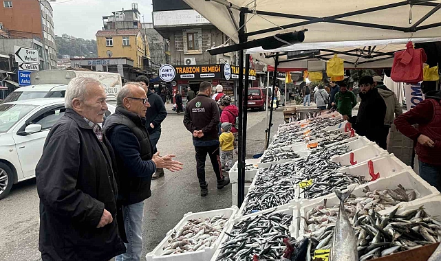 Hamsi, tezgahların gözdesi  oldu