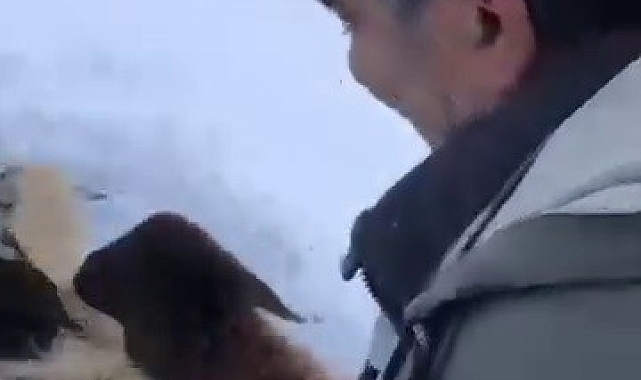 Hayvanlarıyla birlikte dağda mahsur kalan çoban köylülerin yardımıyla kurtarıldı