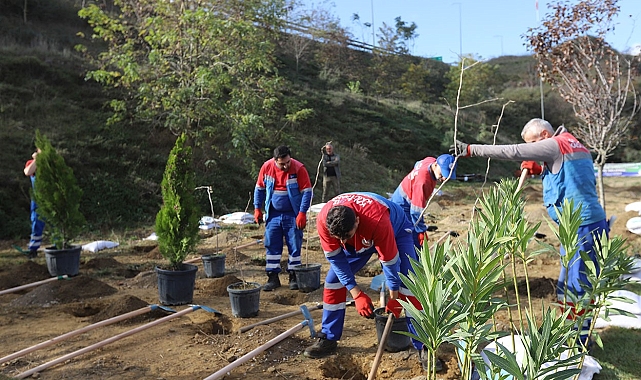 Her bebek bir ağaçla büyüyor