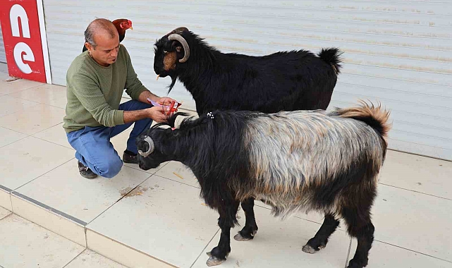 &quot;Herkes bana &#039;Nuh&#039;un gemisi&#039; diye sesleniyorlar&quot;