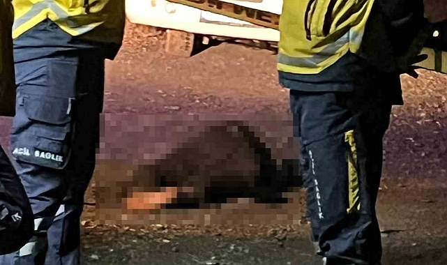 Iğdır&#039;da tartıştığı arkadaşını silah kabzayla öldürdü