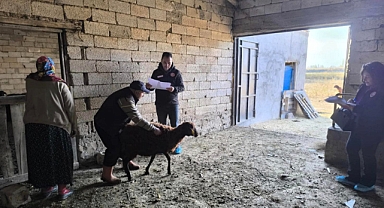 Iğdır’da Uzman Eller Projesinde işletme kontrolleri devam ediyor