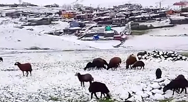 Iğdırlı vatandaşlar Pazar günü iki mevsimi aynı anda yaşadı