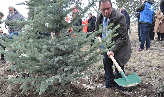 Kars&#039;ta 11 bin 500 fidan toprakla buluştu