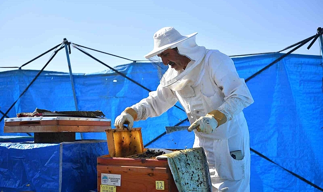 Kayseri&#039;de dağıtılan arı kovanlarından bal hasadı yapıldı