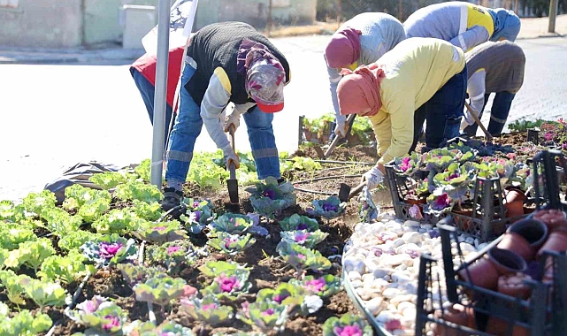Kışlık çiçeklerin dikimine başlandı