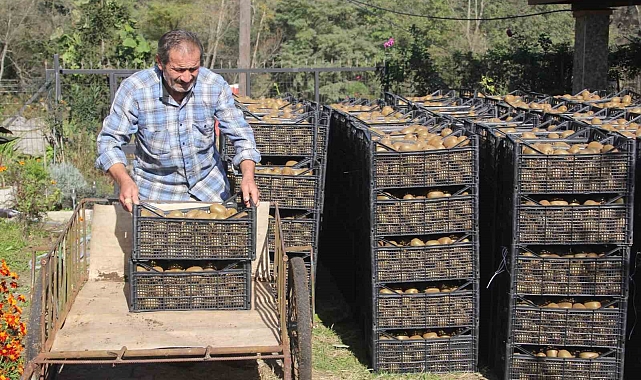 Kivide yıllık 300 milyon TL gelir bekleniyor