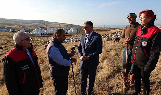 Küçükbaş hayvancılığına 200 bin koyunla rekor destek