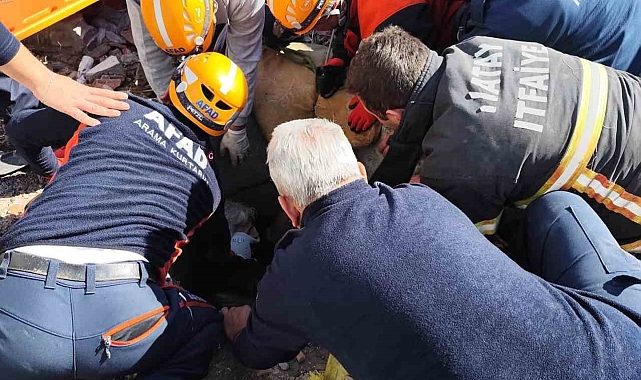 Kuyuya düşen kadın kurtarıldı