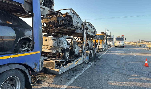 Lüks araçlar alev alev yandı