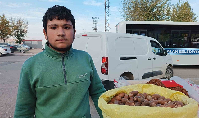 &quot;Meşe palamudu&quot; tezgahta yer aldı