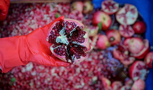 Nar ekşisi Çıtaklı kadınlar tarafından doğal yöntemlerle üretiliyor
