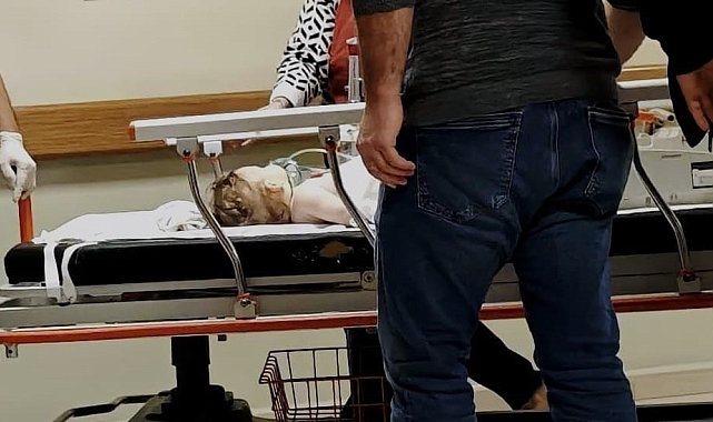 Nefes borusuna üzüm kaçan bebek hayatını kaybetti