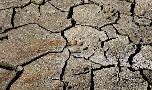 Nilüfer Barajı kuruma noktasına geldi