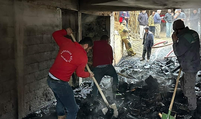 Odunlukta çıkan yangın söndürüldü