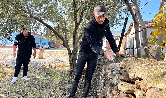 Okul bahçesinde zeytin hasadı