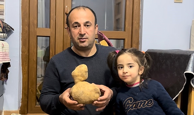 Ördeğe benzer patates şaşkına çevirdi