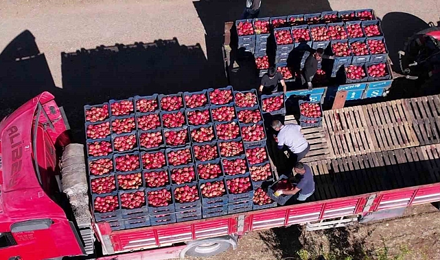 Organik narları Avrupa yolcusu