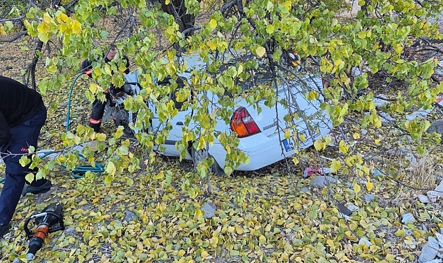 Otomobil kayısı bahçesine daldı