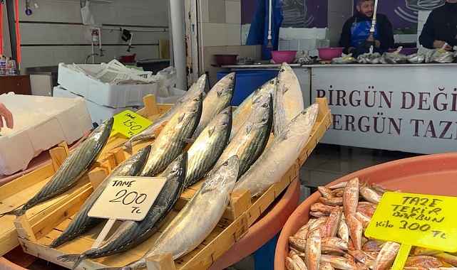 Palamuda veda zamanı