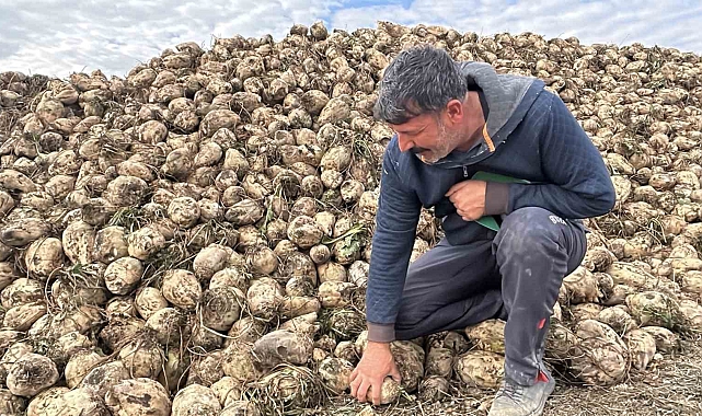 Pancar üretiminde randevu sistemi üreticileri zor durumda bıraktı