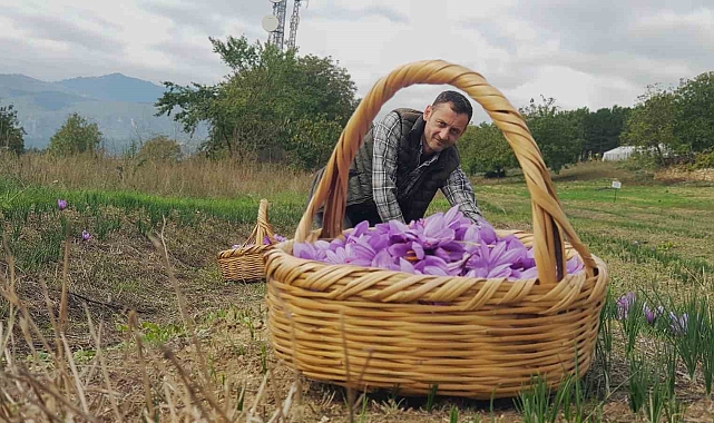 Safran 450 bin TL&#039;den satılacak