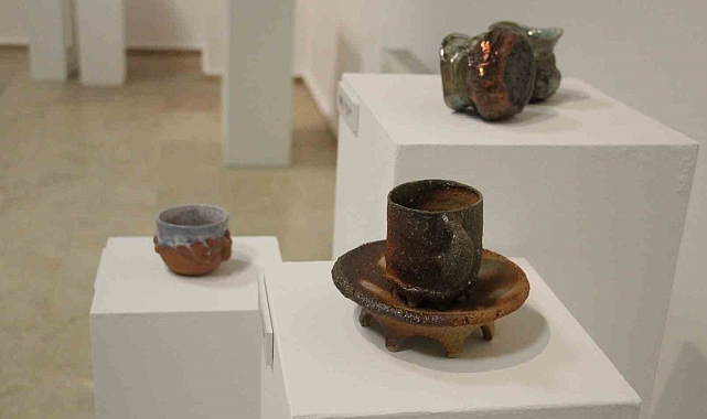 Sanatla birleşen 100 yıllık dostluk