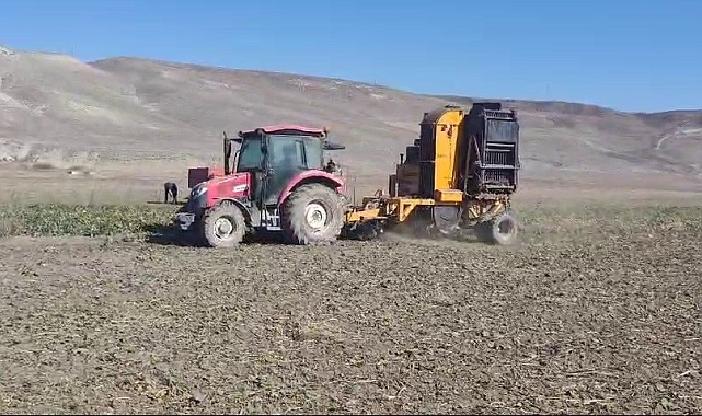 Şeker pancarında sezonun son hasılatına başlandı