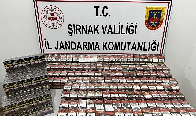 Şırnak&#039;ta kaçakçılık operasyonu