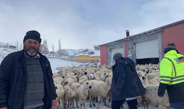 Sivas&#039;ta yoğun karda mahsur kalan koyunlara ve çobanlara başkan sahip çıktı