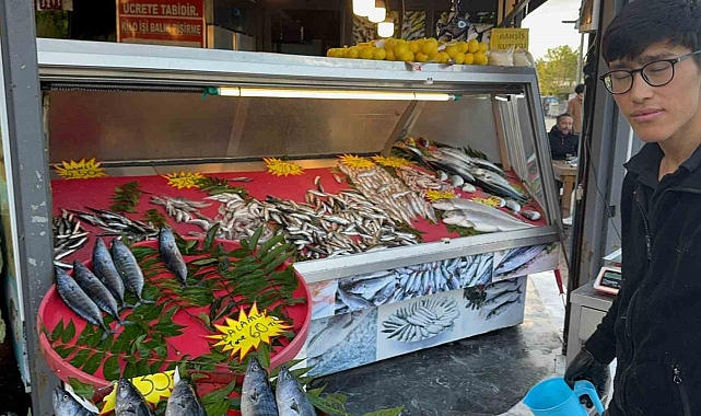 Tekneler Karadeniz&#039;e açıldı